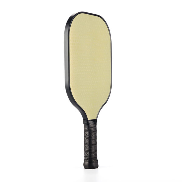 fiberglass pickleball paddle