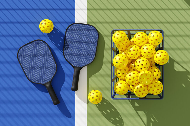 all-in-one pickleball paddle