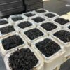 Loose leaf tea online