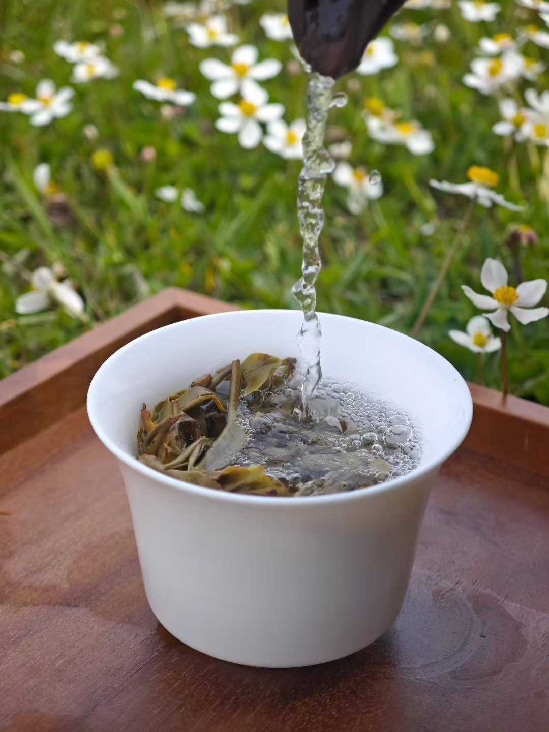Premium Chinese tea