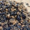 Yunnan Black Tea Snail