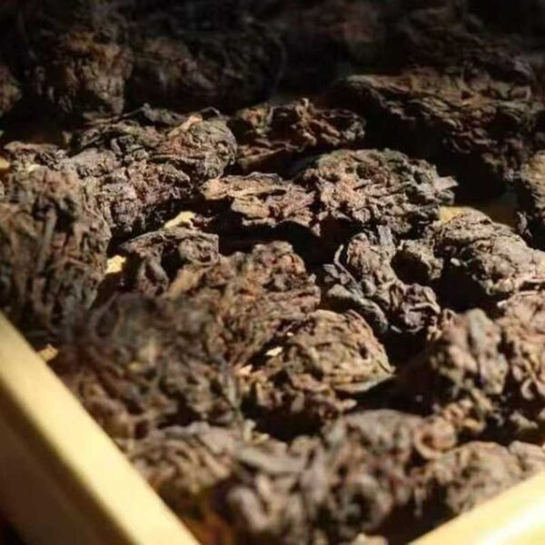 Gongfu tea brewing