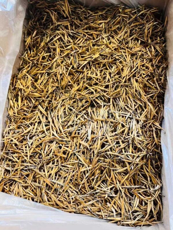 Golden Needle tea