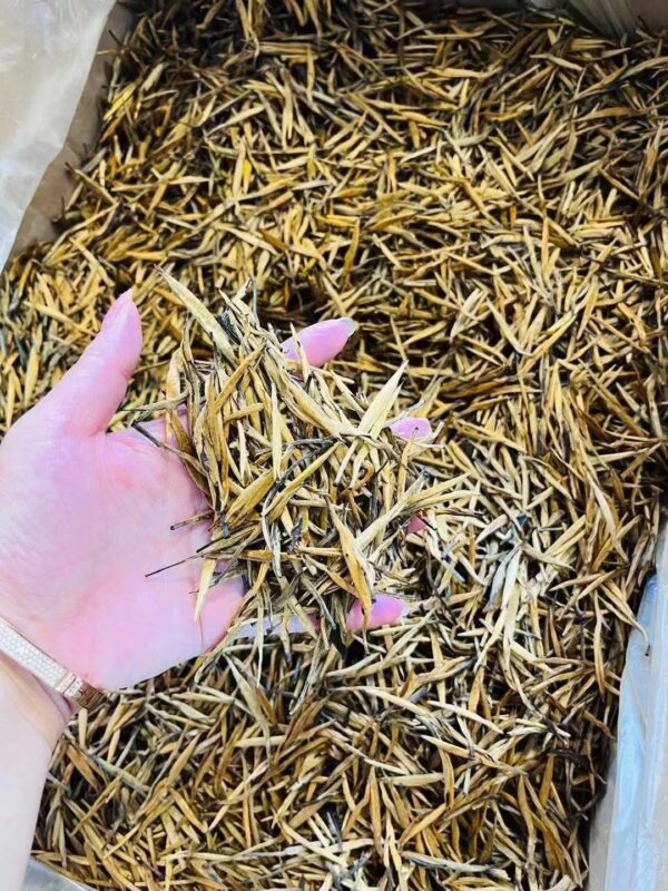 Golden Needle tea