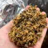 How to brew black tea