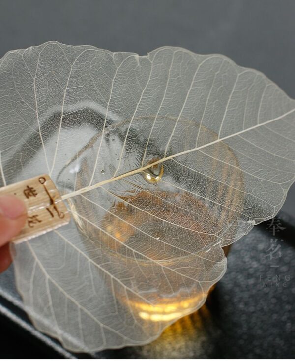 Tea Infuser