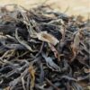 Aged Raw Puerh