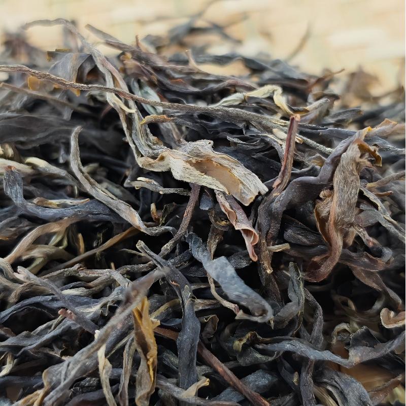Aged Raw Puerh