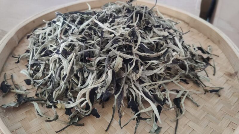 Chinese White Tea