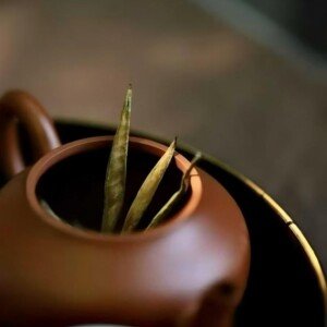 Tea shop online